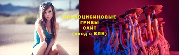 ешки Белокуриха