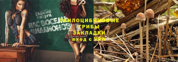 наркотики Богородск