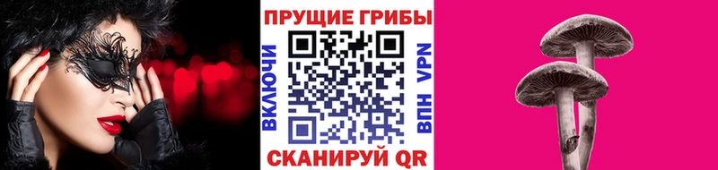 Псилоцибиновые грибы GOLDEN TEACHER  Купить  Юрьев-Польский 